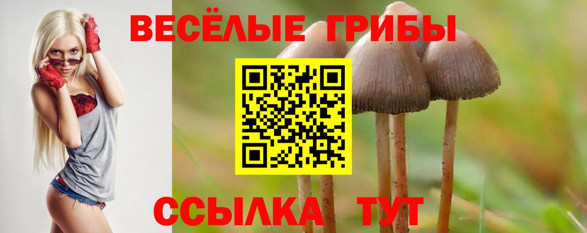ГАШ  Меф МЯУ МЯУ  КЕТАМИН  Борзя  Вход с VPN  Канабис  Меф МЯУ МЯУ кристаллы 